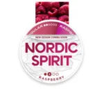 Nordic Spirit Frosty Berry Nic Pouches